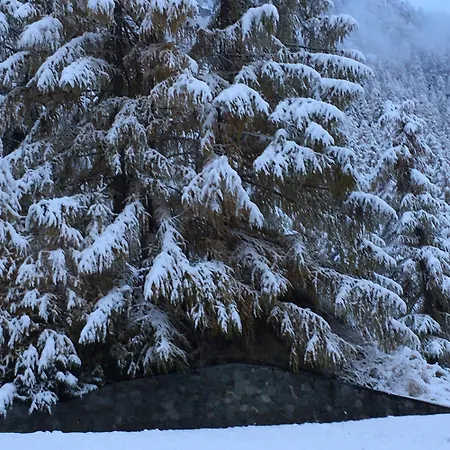 Appartamento Rothornblick Arosa